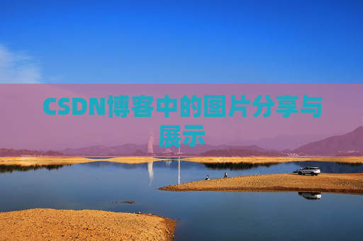 CSDN博客中的图片分享与展示
